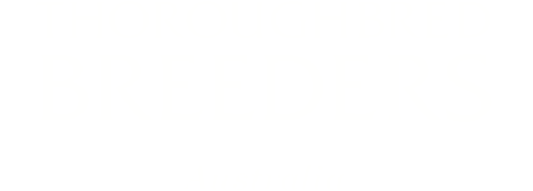Thoroughbred Breeders Association