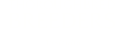 TBA_WO Thoroughbred Breeders Association