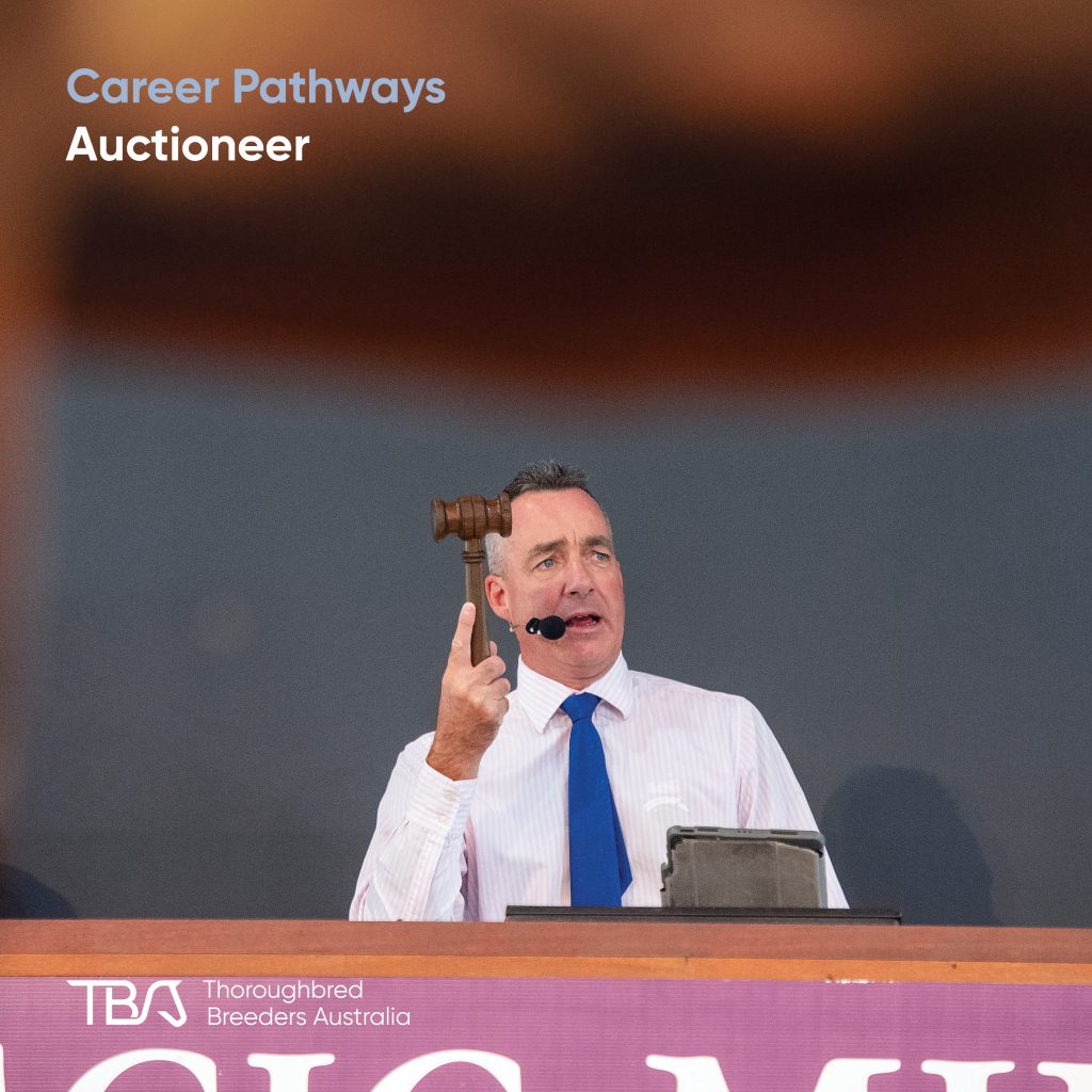 TBACareers_Auctioneer Auctioneer – Leads thoroughbred sales by calling bids and managing the auction ring. Requires confidence, fast thinking and deep knowledge of horses and pedigrees. Most start as bid spotters or consultants before progressing. The TBA Graduate Program offers a great pathway into this exciting role
