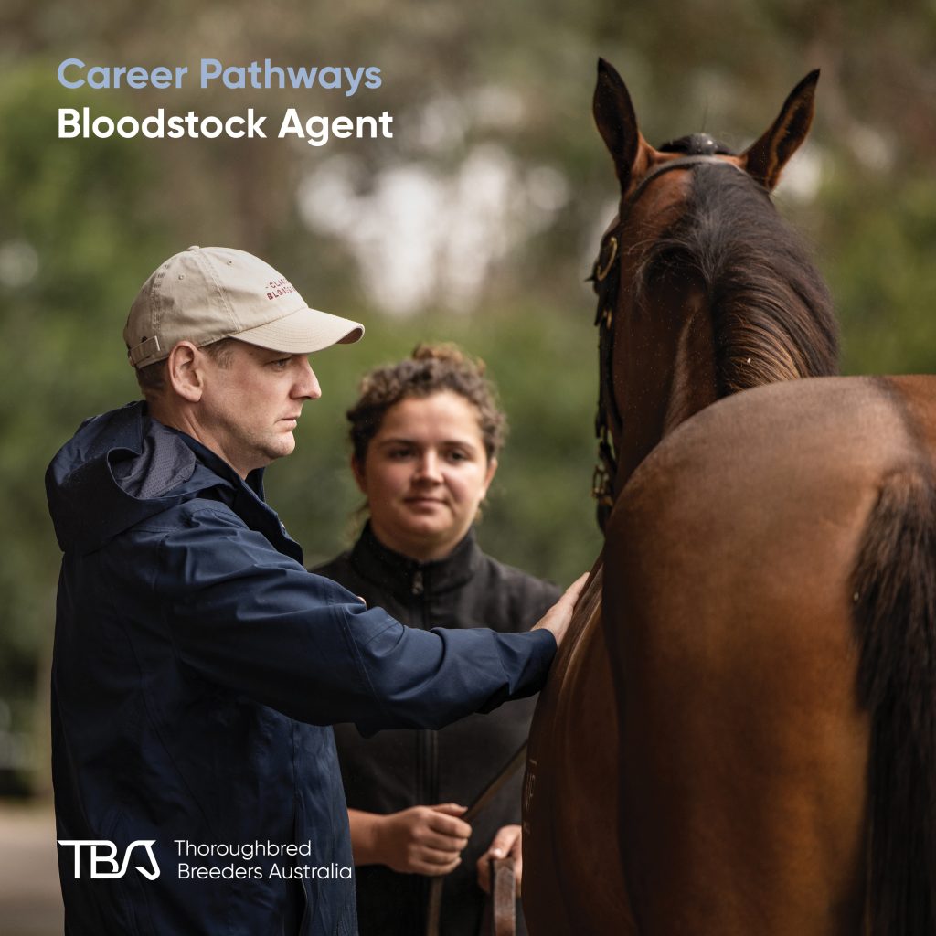 TBACareers_BloodstockAgent Bloodstock Agents – Experts in conformation and pedigree, bloodstock agents consult on selecting weanlings, yearlings, and mares, and manage breeding and racing portfolios. They attend sales across Australia and often travel internationally. Most start with hands-on roles to gain horse husbandry skills and industry knowledge. TBA Fast Track offers a strong foundation for those pursuing a career in bloodstock.