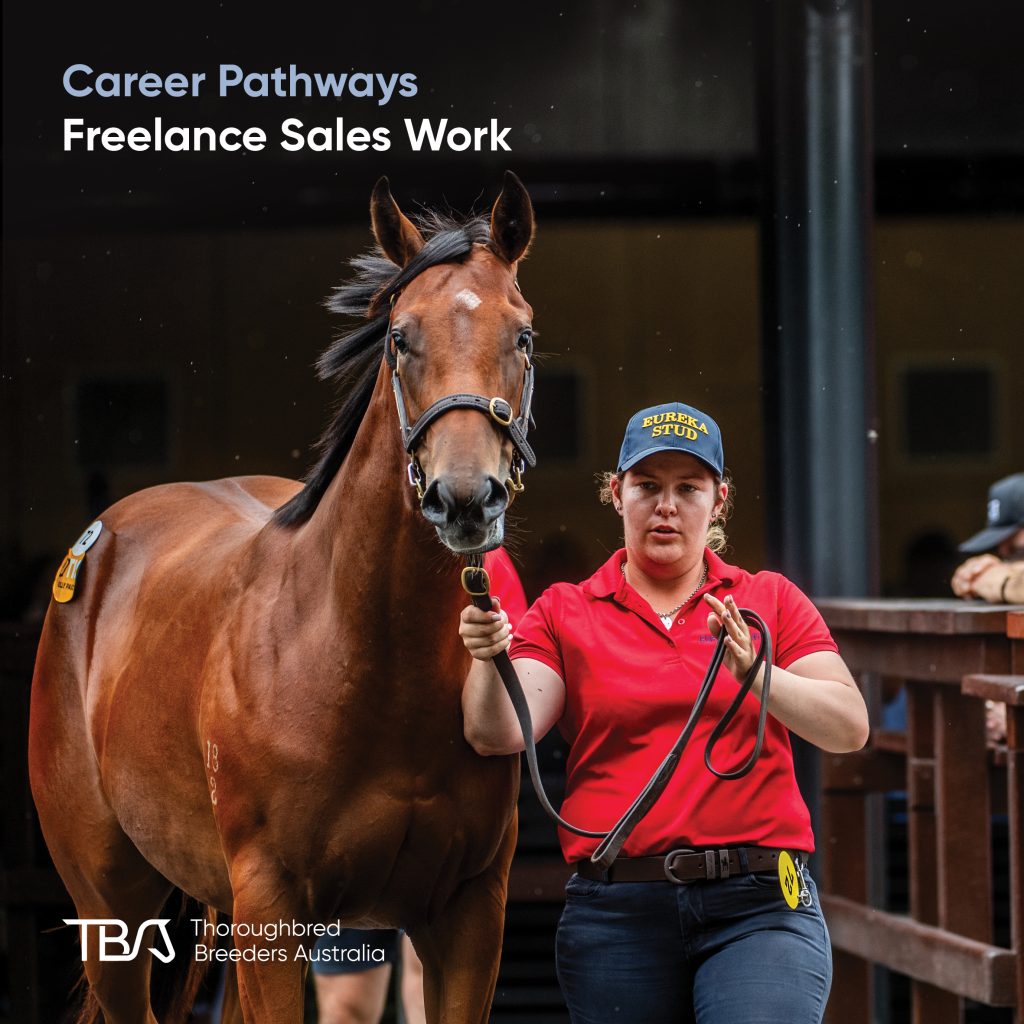 TBACareers_Freelance Sales Freelance Sales Leader – Travels the sales circuit, preparing and presenting thoroughbreds to buyers. The Australian sales season lasts about six months, with many following the circuit internationally. Success requires strong horsemanship, work ethic, and ability to work in a fast-paced environment. Most start as stud hands. TBA Fast Track and Stud Start offer essential training and industry connections.