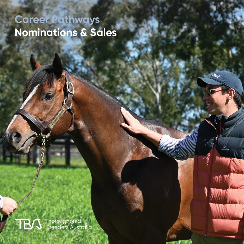 TBACareers_Nominations&Sales Nominations & Sales – Attract breeders by matching mares to stallions based on pedigree and conformation. Duties include attending sales and races, managing client relationships, marketing, and hosting stallion parades or private showings. Most start in hands-on roles. Strong pedigree and commercial market knowledge is essential. TBA Fast Track and TBA Learning’s conformation module provide key training.