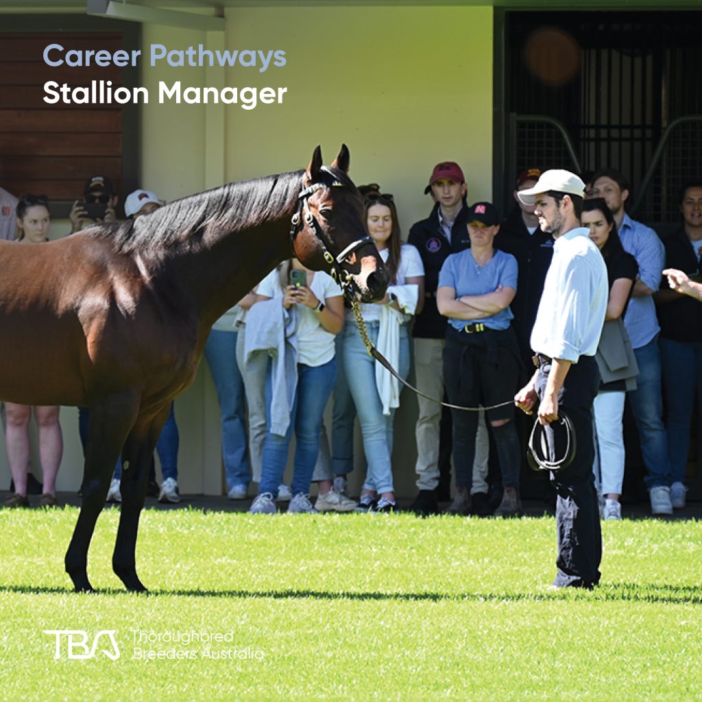 TBACareers_StallionManager Stallion Manager – Leads the team responsible for daily care and condition of some of Australia’s most valuable stallions. Oversees safe, efficient breeding operations during the busy season, managing stallion welfare. This role demands leadership, horsemanship, and a deep understanding of stallion behaviour. Many start as stud grooms or handlers. TBA Fast Track is a great first step.