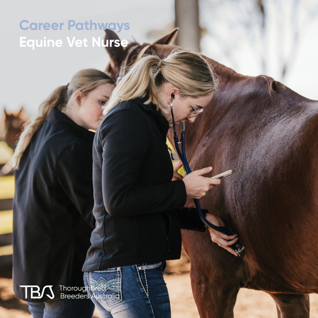 TBACareers_VetNurse Equine vet nurses play an important role in all aspects of equine veterinary care. Primary responsibilities include assisting the stud veterinarian with surgeries and treatments; keeping accurate health and welfare records; overseeing quarantine and hygiene practices; managing vet-related inventory and stores; and nursing horses in intensive care. TBA offers several courses that assist with the fundamental horse husbandry skills required to pursue a career in Equine veterinary nursing.