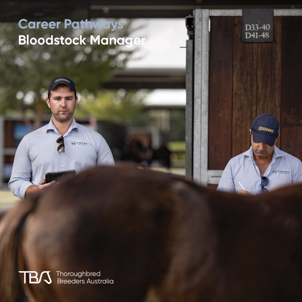 TBACareers_bloodstockmanager Bloodstock Managers – Oversee care, training, and sales prep of thoroughbreds for studs, trainers, or owners. Manage selection and preparation for racing or breeding. Strong organisation, pedigree knowledge, and horse care skills are essential. Many start as stud hands or sales assistants before moving into management. TBA offers courses and resources to build skills in bloodstock and breeding.