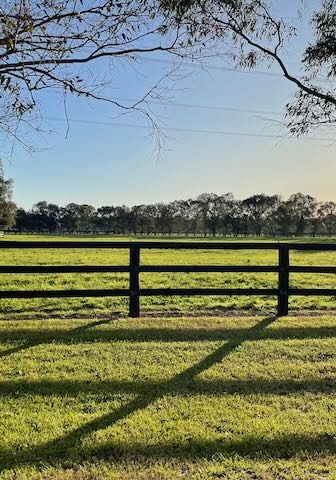 026 16 Nutrition Pasture_BridgetKirkwood