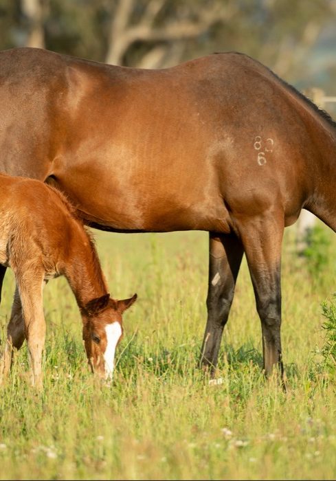 Screenshot 2026-03-31 223920